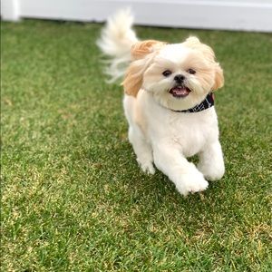 Meet your Posher, Alejandro